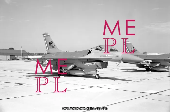: General Dynamics F-16A Fighting Falcon 81-0666 : General Dynamics F-16A Fighting Falcon 81-0666