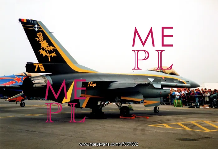 : General Dynamics F-16A Fighting Falcon FA-111 : General Dynamics F-16A Fighting Falcon FA-111