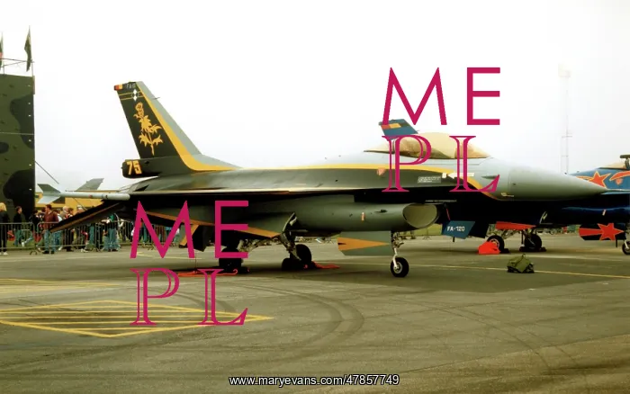 : General Dynamics F-16A Fighting Falcon FA-111 : General Dynamics F-16A Fighting Falcon FA-111