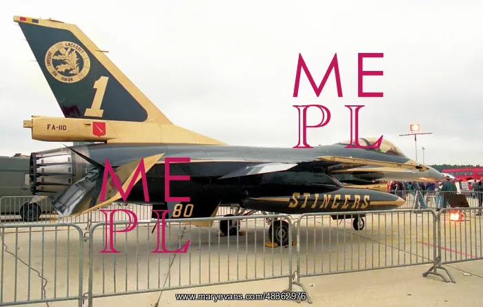 : General Dynamics F-16AM Fighting Falcon FA110 : General Dynamics F-16AM Fighting Falcon FA110