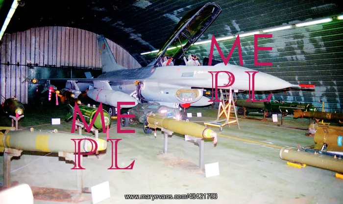 : General Dynamics F-16AM Fighting Falcon FA31 : General Dynamics F-16AM Fighting Falcon FA31