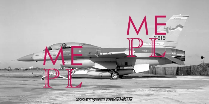: General Dynamics F-16B Fighting Falcon 81-0819 : General Dynamics F-16B Fighting Falcon 81-0819