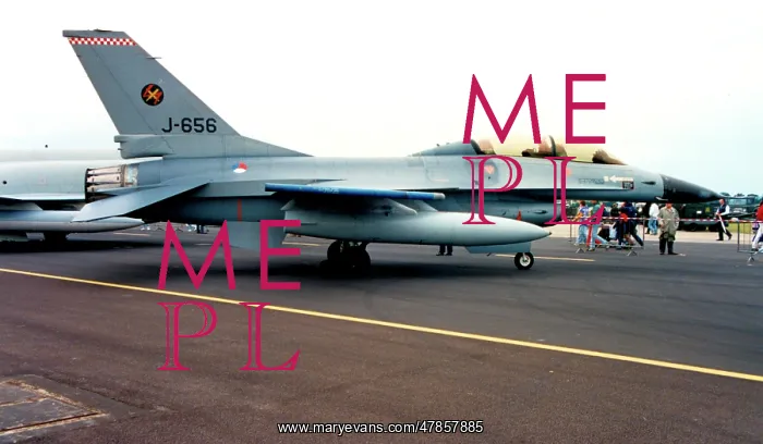 : General Dynamics F-16B Fighting Falcon J-656 : General Dynamics F-16B Fighting Falcon J-656