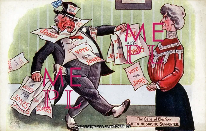: The General Election - An Enthusiastic Supporter : The General Election - An Enthusiastic Supporter