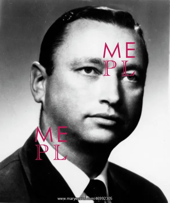 : General Electric Manager T. H. Fitzgerald : General Electric Manager T. H. Fitzgerald