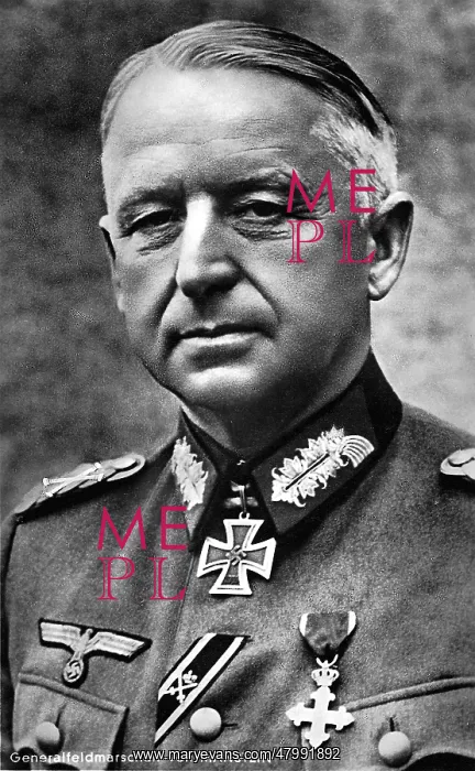 : General Field Marshal Erich von Manstein : General Field Marshal Erich von Manstein
