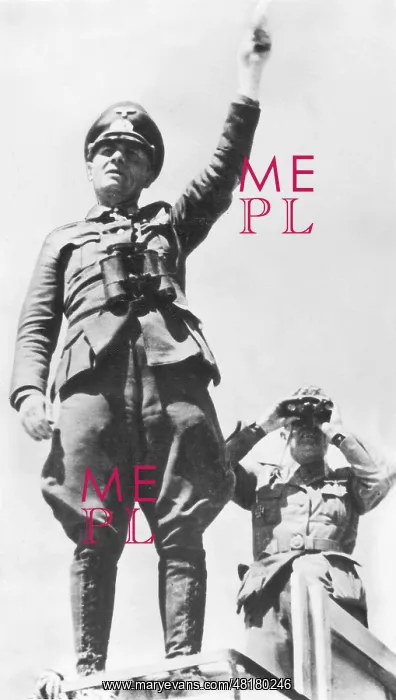 : General Field Marshal Erwin Rommel, 1941 (b / w photo) : General Field Marshal Erwin Rommel, 1941 (b / w photo)
