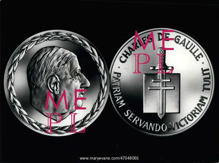 : General de Gaulle commemorative medal : General de Gaulle commemorative medal