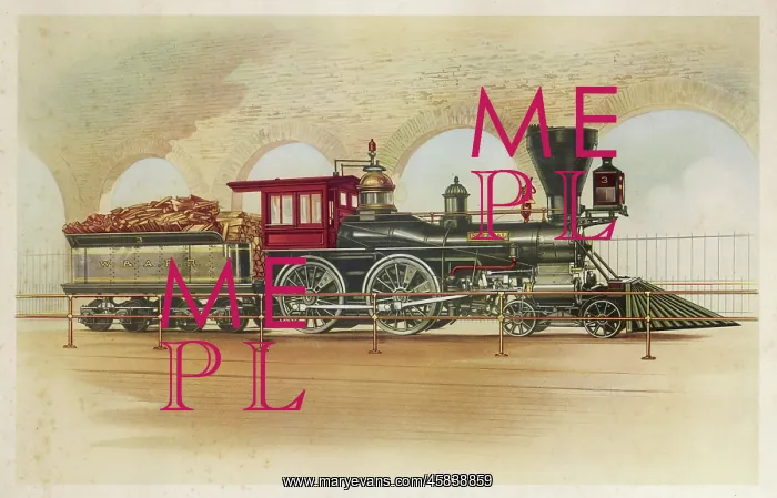 : THE GENERAL LOCOMOTIVE : THE GENERAL LOCOMOTIVE