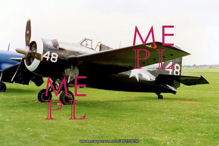 : General Motors FM-2 Wildcat N4845V : General Motors FM-2 Wildcat N4845V