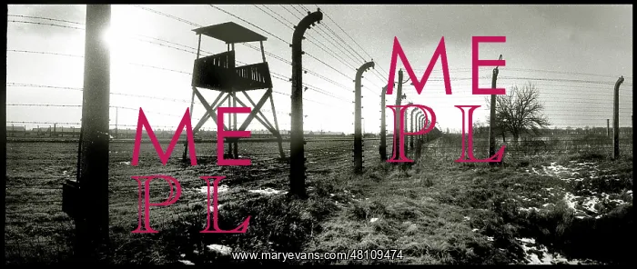 : General panoramic view Auschwitz-Birkenau : General panoramic view Auschwitz-Birkenau