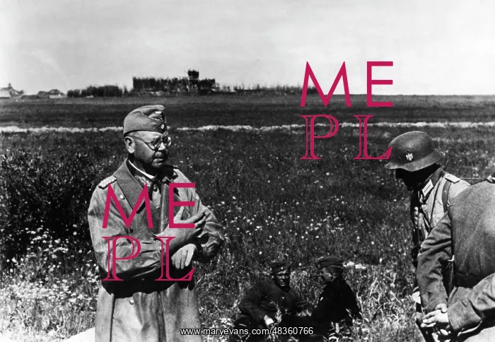: General of a Panzerdivision of the Wehrmacht : General of a Panzerdivision of the Wehrmacht