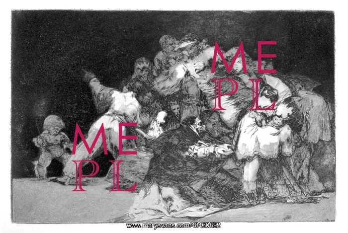 : General Riddle Artist: Francisco Goya : General Riddle Artist: Francisco Goya