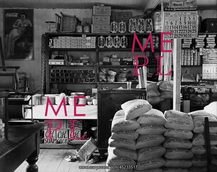 : General store interior in Moundville Alabama. ? : General store interior in Moundville Alabama. ?