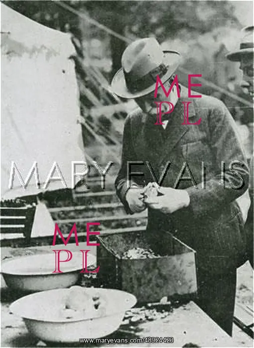 : The General Strike - peeling potatoes : The General Strike - peeling potatoes