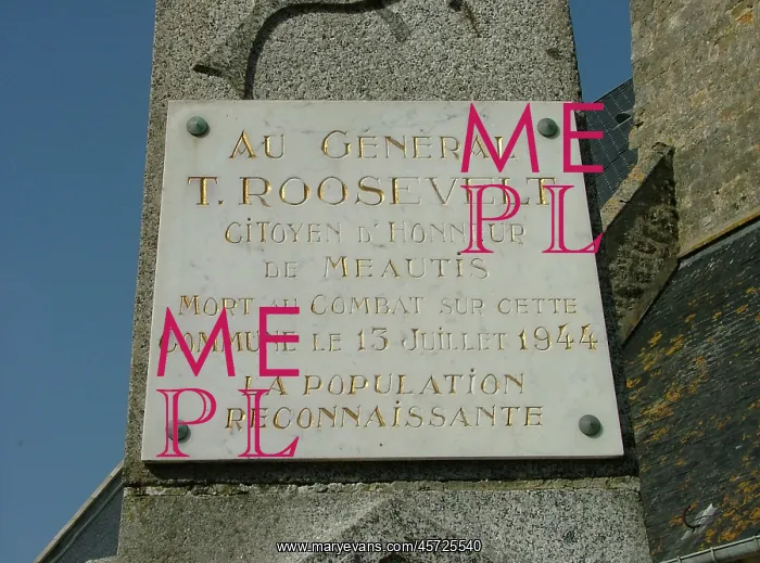: General Theodore Roosevelt Memorial Meautis : General Theodore Roosevelt Memorial Meautis