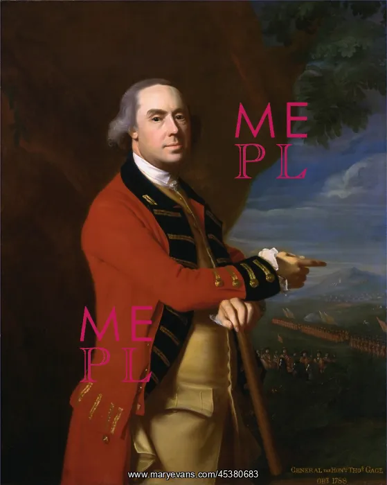 : General Thomas Gage, by John Singleton Copley : General Thomas Gage, by John Singleton Copley