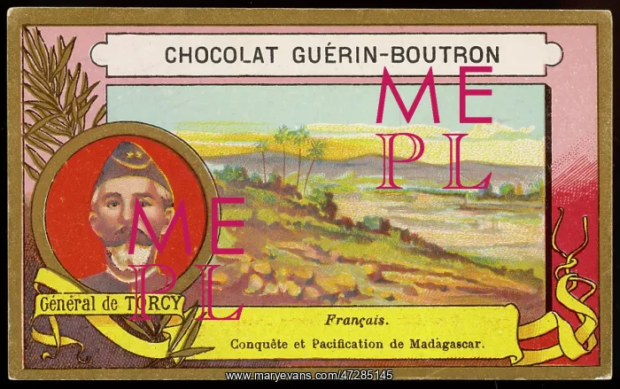 : GENERAL DE TORCY : GENERAL DE TORCY