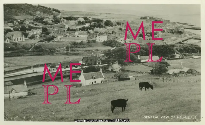 : General View