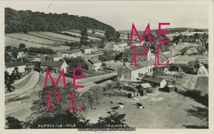 : General View : General View