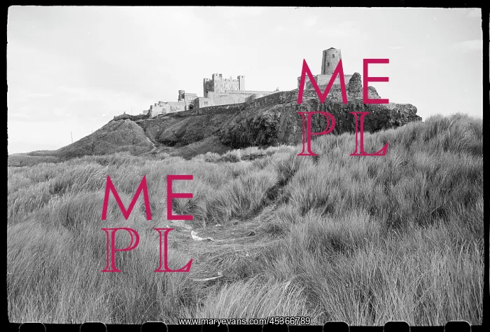 : A general view of Bamburgh Castle, seen from the : A general view of Bamburgh Castle, seen from the