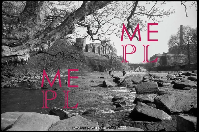 : A general view of Barnard Castle, seen from the : A general view of Barnard Castle, seen from the
