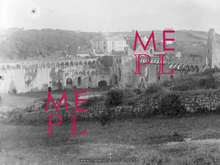 : General view, Bishop's Palace, St David's, South Wales : General view, Bishop's Palace, St David's, South Wales