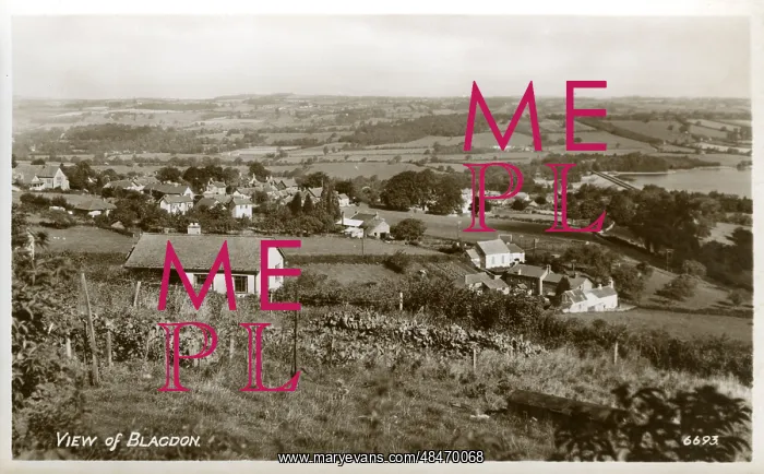 : General View, Blagdon : General View, Blagdon