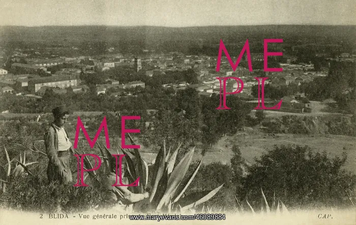 : General view of Blida, from the Fort of Mimich : General view of Blida, from the Fort of Mimich