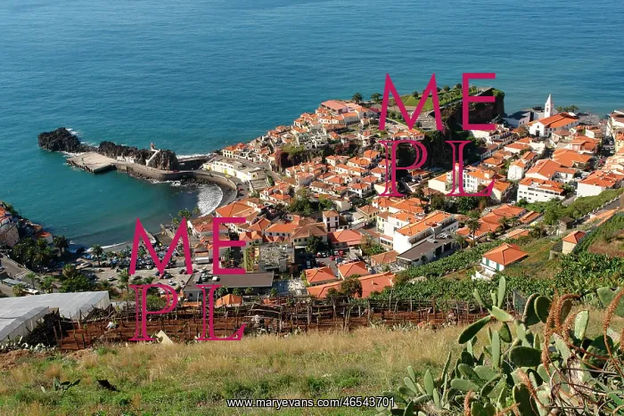 : General view of Camara de Lobos, Madeira : General view of Camara de Lobos, Madeira