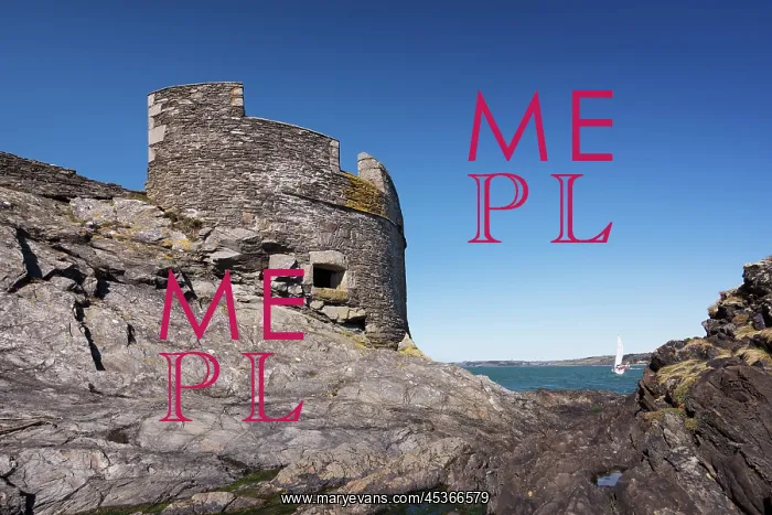 : General view of the castle's Little Dennis Blockhouse : General view of the castle's Little Dennis Blockhouse