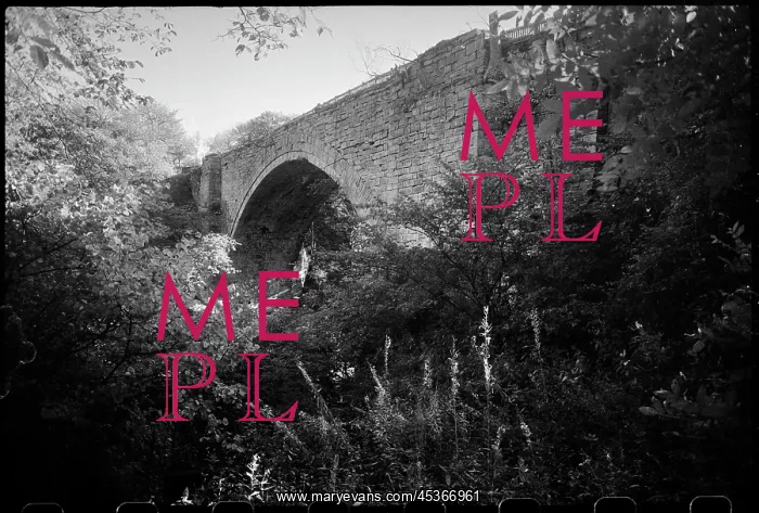 : A general view of the Causey Arch, a wagonway : A general view of the Causey Arch, a wagonway