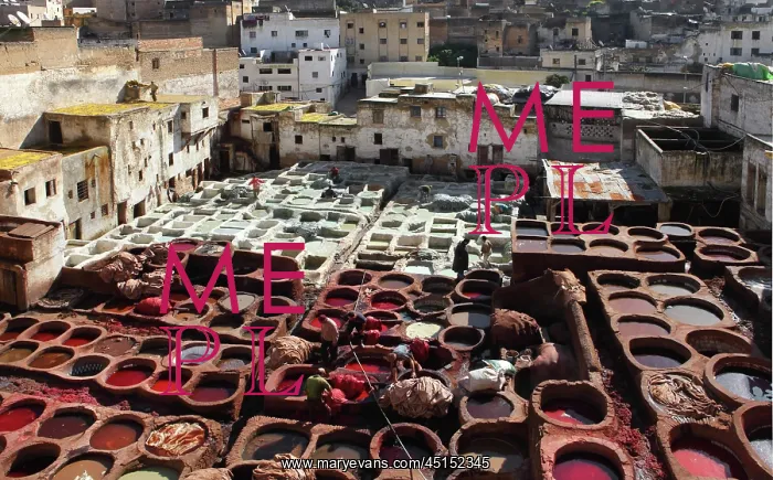 : Fez. General view of Chouara tannery, Fez, Morocco : Fez. General view of Chouara tannery, Fez, Morocco