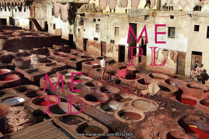 : Fez. General view of Chouara tannery, Fez, Morocco : Fez. General view of Chouara tannery, Fez, Morocco