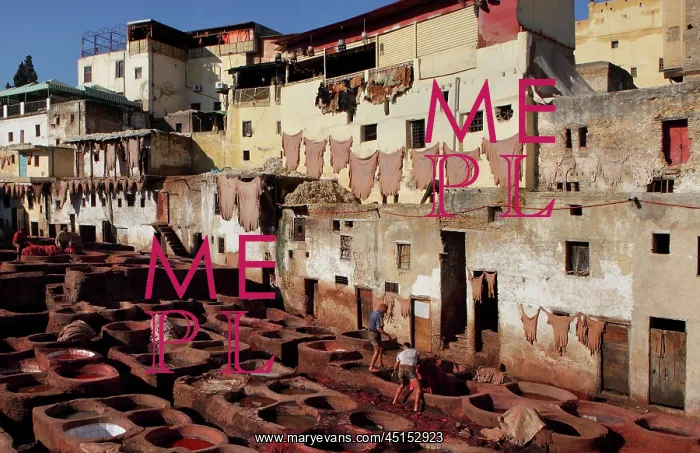 : Fez. General view of Chouara tannery Fez, Morocco : Fez. General view of Chouara tannery Fez, Morocco