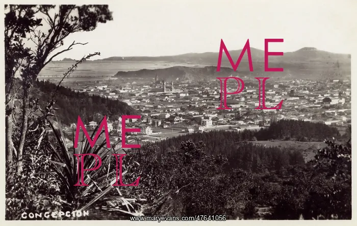  : General view, Concepcion, Chile, South America