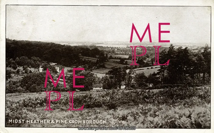 : General View, Crowborough, Sussex : General View, Crowborough, Sussex