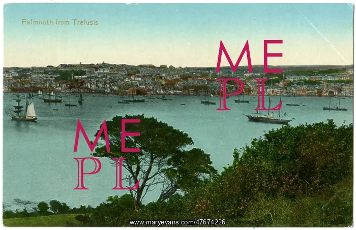 : General view of Falmouth, Cornwall : General view of Falmouth, Cornwall