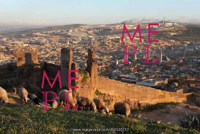 : Fez. General view of Fez, Morocco, pictured on February 22 : Fez. General view of Fez, Morocco, pictured on February 22