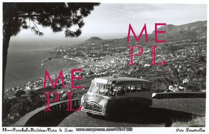 : General view of Funchal, Madeira : General view of Funchal, Madeira