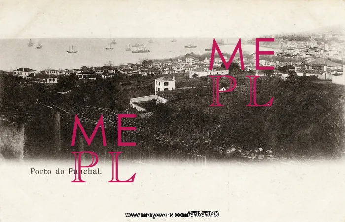 : General view of Funchal, Madeira : General view of Funchal, Madeira