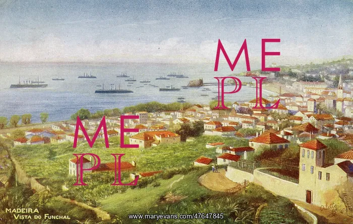 : General view of Funchal, Madeira : General view of Funchal, Madeira