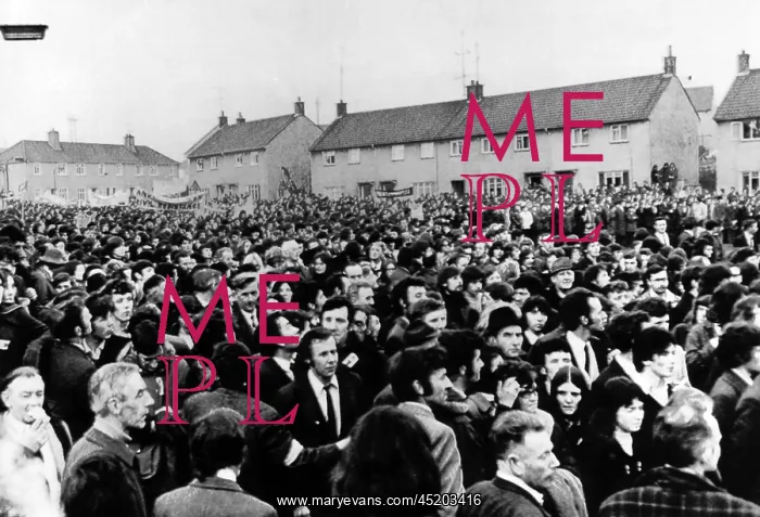 : A general view of Irish demonstrators in ? : A general view of Irish demonstrators in ?