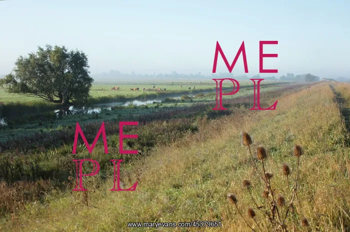 : General view of the landscape at Welches Dam : General view of the landscape at Welches Dam