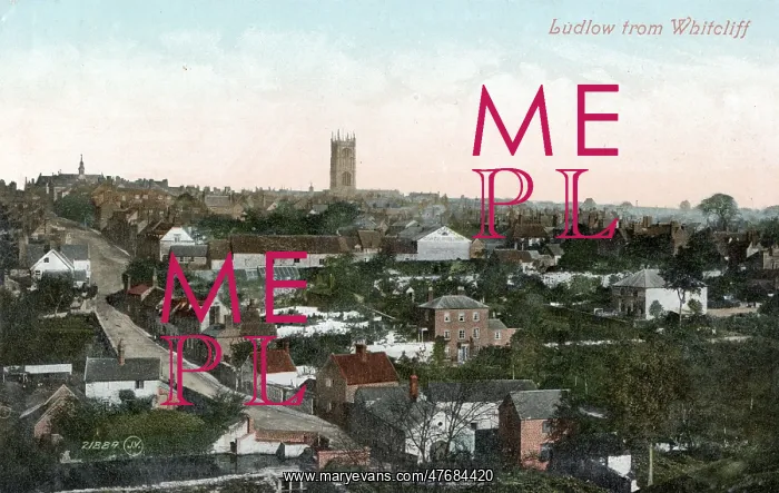  : General view of Ludlow, Shropshire