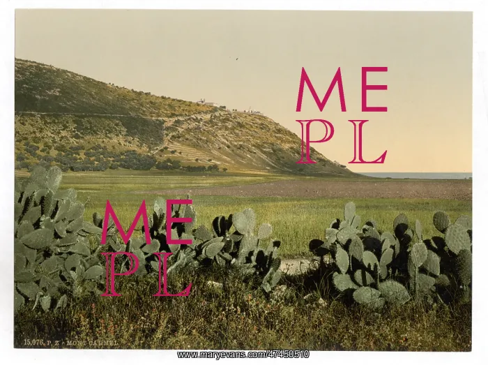 : General view, Mount Carmel, Holy Land, (i.e. Israel) : General view, Mount Carmel, Holy Land, (i.e. Israel)