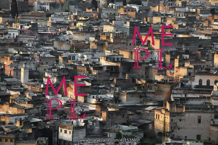 : Fez. General view of the old Medina, Fez, Morocco : Fez. General view of the old Medina, Fez, Morocco
