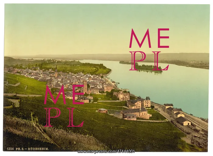 : General view, Rudesheim, the Rhine, Germany General view, R? : General view, Rudesheim, the Rhine, Germany General view, R?