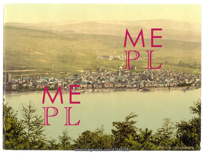 : General view, Rudesheim, the Rhine, Germany General view, R? : General view, Rudesheim, the Rhine, Germany General view, R?