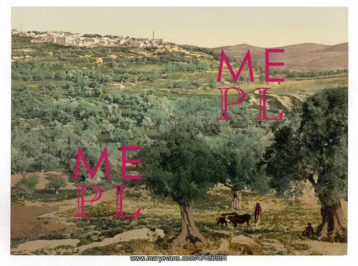 : General view, Samaria, Holy Land, (i.e. Sabastiyah, Israel) : General view, Samaria, Holy Land, (i.e. Sabastiyah, Israel)